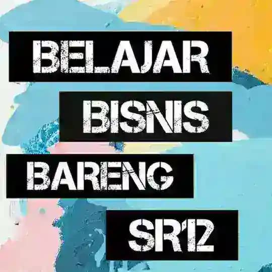 B3SR12 Official