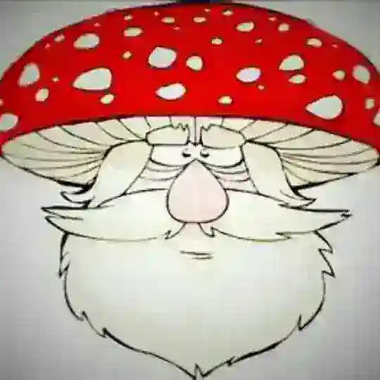 за МУХОМОРами