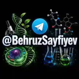 Behruz Sayfiyev Profile