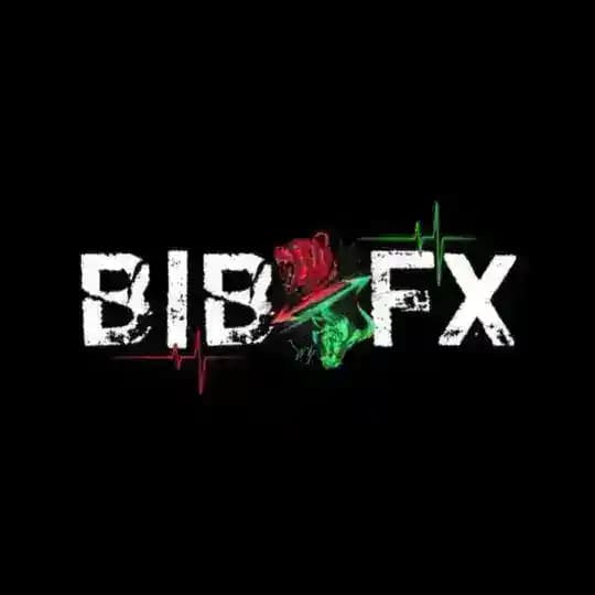 THE BIB FX