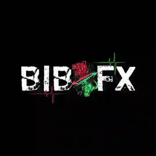BIB THE FX