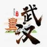 武汉集团 | 高端（大圈）