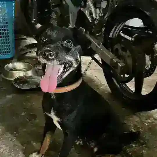 .