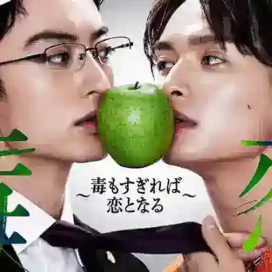 Love is a Poison🌈