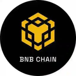 BNB Chain Profile