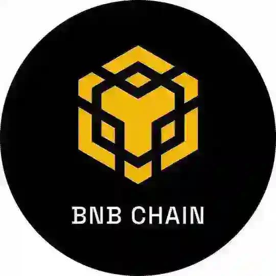 BNB Chain Profile