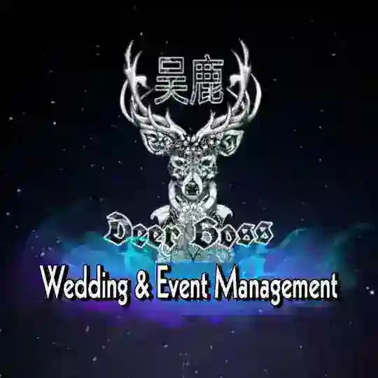 王鹿HAIWAN ORGANIZER
