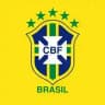 BRAZIL FANS