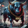 BRV CAPITAL