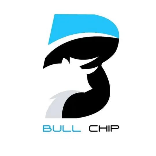 BULL CHIP