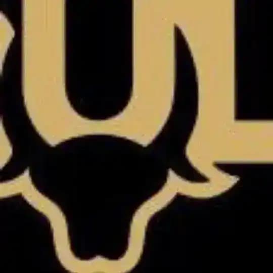 🟢BULL WEB SERIES