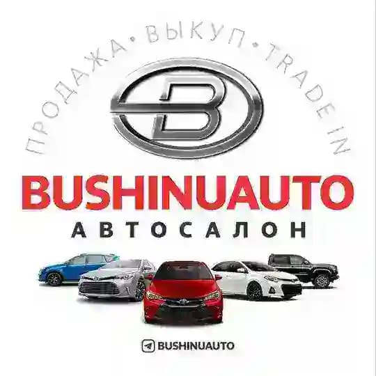 BUSHINUAUTO SALON