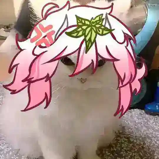 Бар Малиныча🌿
