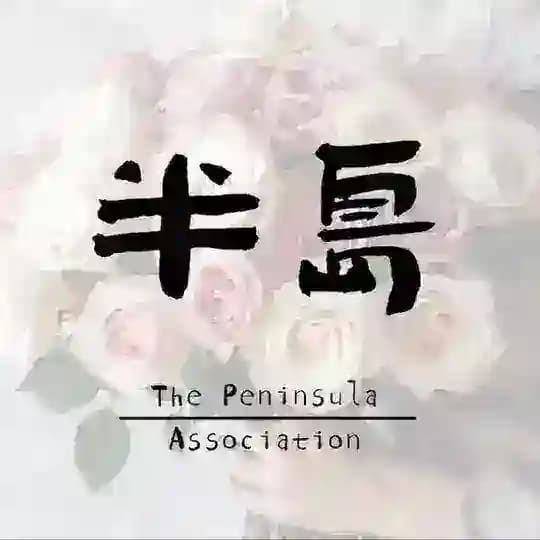杭州半岛新人工兵频道