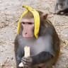 🍌Banancha🦶Лало Бiбiзянка🐒 (Bh44/Лало)🪬