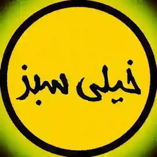 کتاب های خیلی سبز ( دهم یازدهم دوازدهم جامع بانک نهایی نردبام فارسی عربی زبان دینی زیست شیمی فیزیک ریاضی حسابان هندسه گسسته زمین