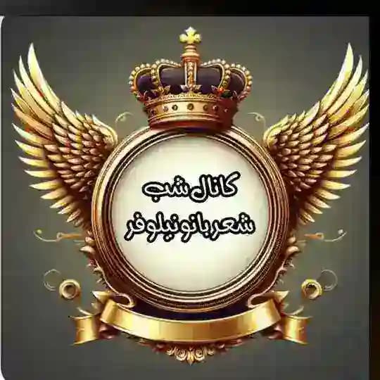 🩷💚کانال شب شعر بانو نیلوفر 💚🩷 Profile