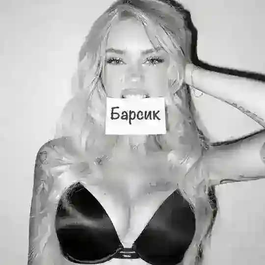 @Барсик