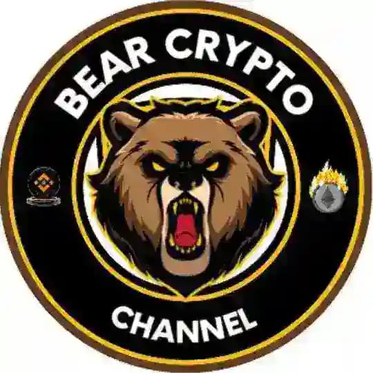 BEAR CRYPTO - MultiChain