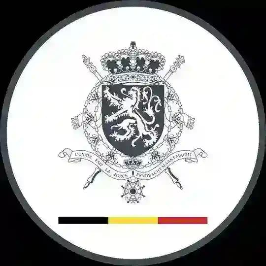 Бельгия в России 🇧🇪 Belgium in Russia