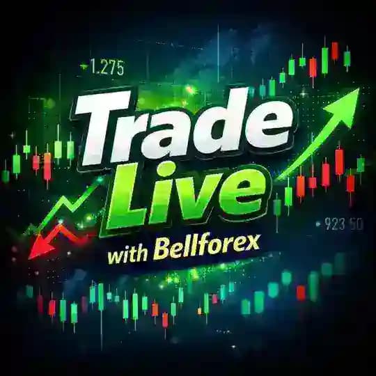 Bellforex COMMUNITY