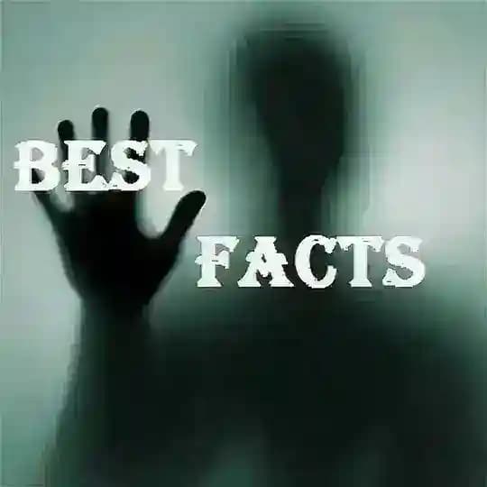 Best Facts Profile