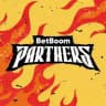 BetBoom Partners