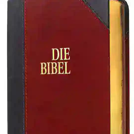 Bibel Hörbuch (Schlachter 2000) Profile