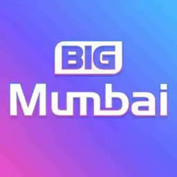 Big Mumbai Colour Prediction Profile