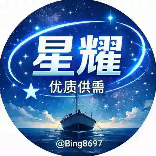 星耀出海 优质供需 海外项目资源