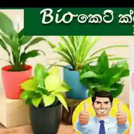 Bio කෙටි ක්‍රම-✍🥗 learn with P.Y. Profile