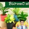 Bio කෙටි ක්‍රම-✍🥗 learn with P.Y.