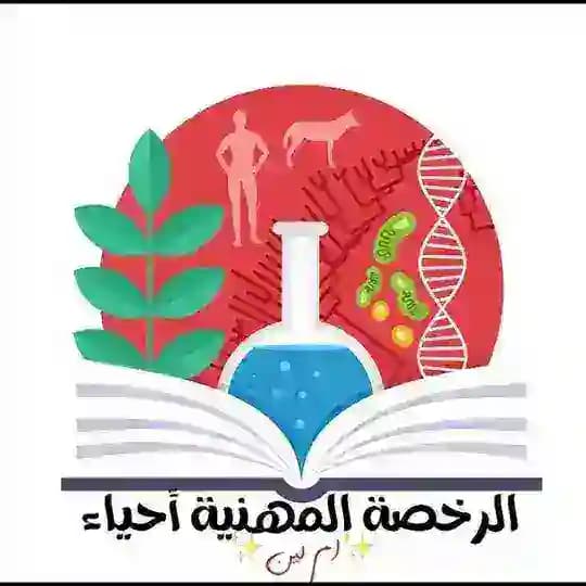 الرخصة المهنية أحياء ( ام لين )