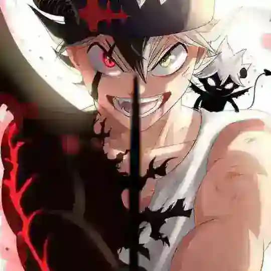 Black clover VF🇫🇷