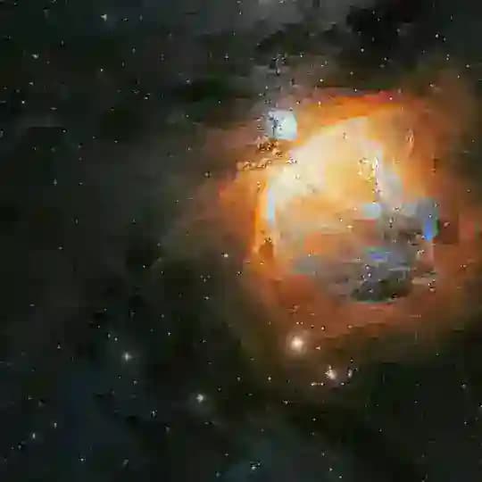 Black Holes