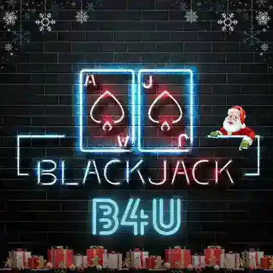 🎄BlackJack Services USA 🎄