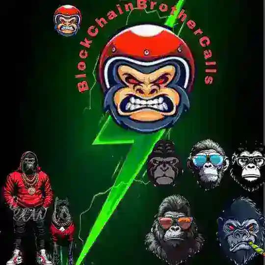BlockChainBrothers Degen {BCB}