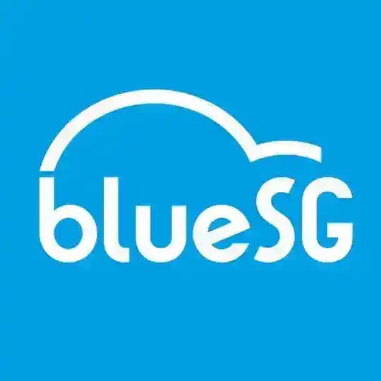 BlueSG