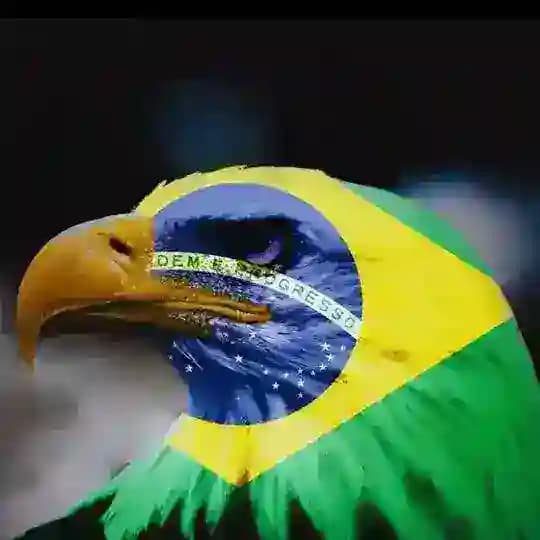 ÁGUIA SUA MOTIVAÇÃO DIÁRIA 🦅🦅🦅