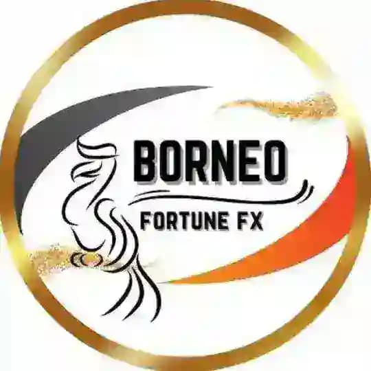 Borneo Fortune FX ๐ธ