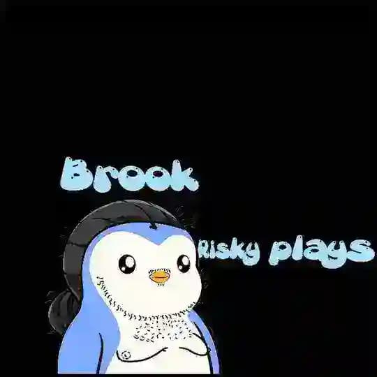 𝑩𝒓𝒐𝒐𝒌 𝑹𝒊𝒔𝒌𝒚 𝑷𝒍𝒂𝒚𝒔 🐧 Profile