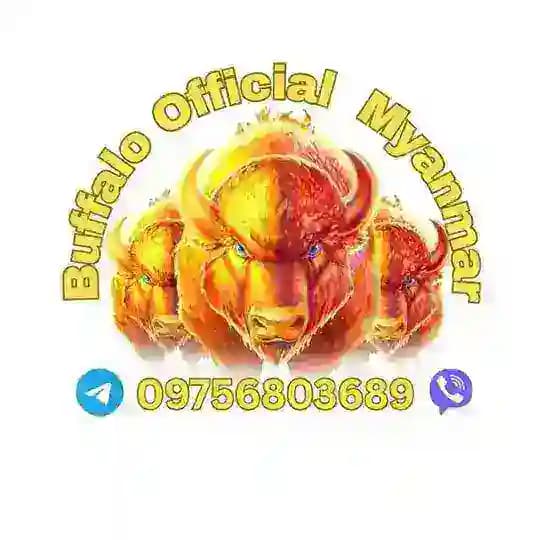 Buffalo Official Myanmar