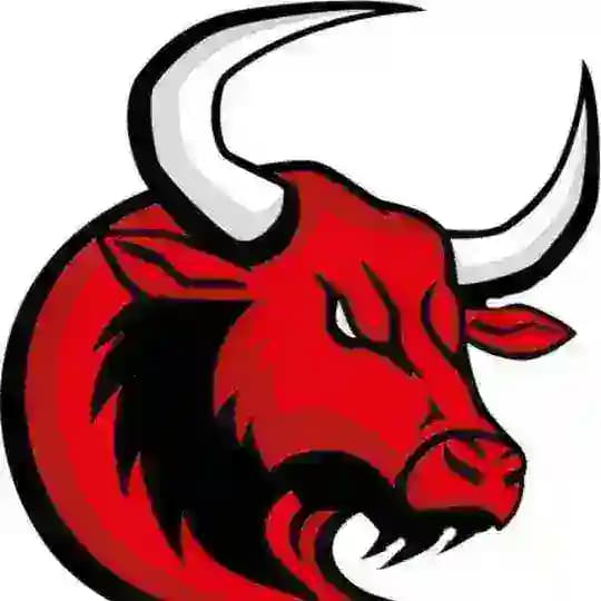 Bulls Signals 🔥🔥