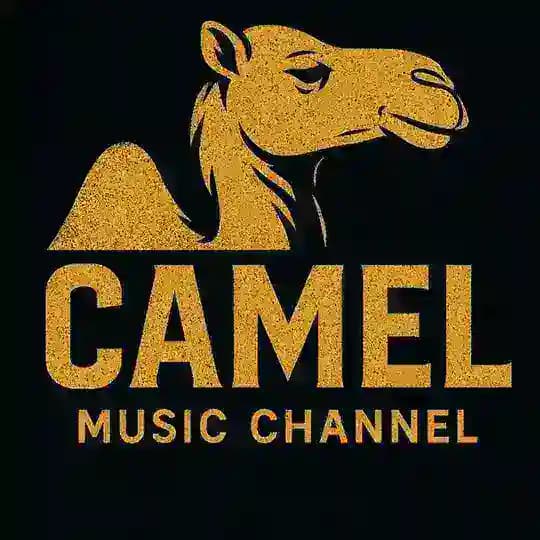 🐫 camel 🐫