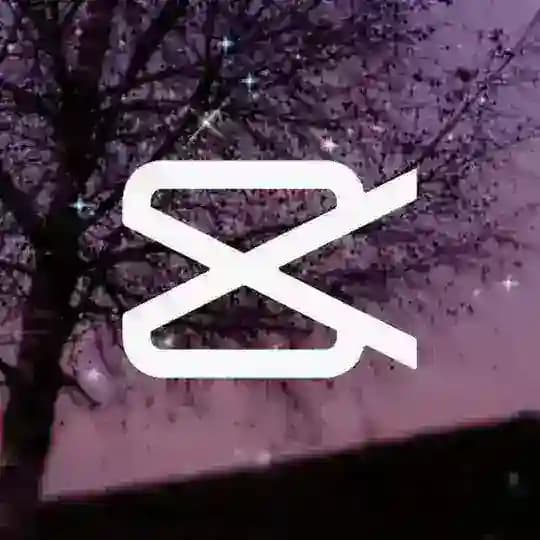 Capcut Pro
