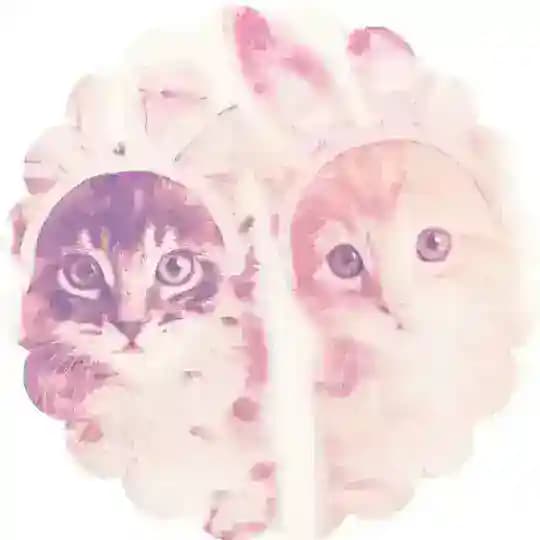 Bunny shop | Adopt shop