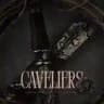 ㅤㅤㅤㅤㅤㅤㅤㅤㅤㅤㅤㅤㅤBLADE & STORM: CAVELIERS.