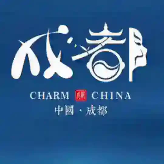 验车报告