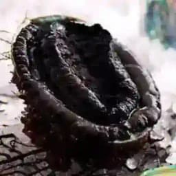 成都鲍光台|神父|唤醒蝈蝻 Profile