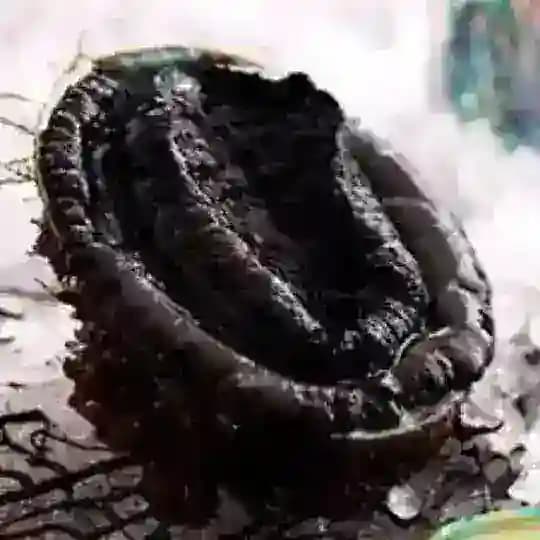 成都鲍光台|神父|唤醒蝈蝻 Profile